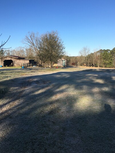 Farm home with horses and cattle on site.