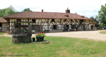 Logement chaleureux et accueillant prĂšs du centre ville. Wifi fibre gratuit