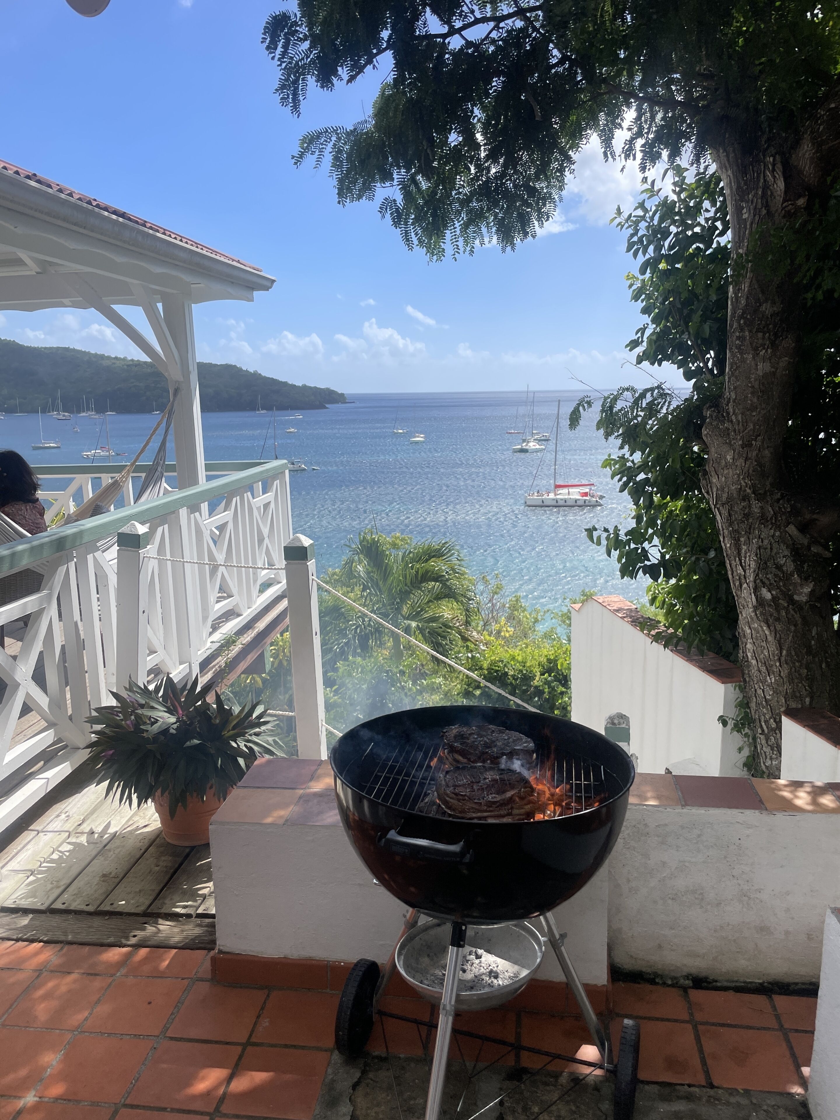 A patio with a grill, a potted plant, and a view of the sea with boats.