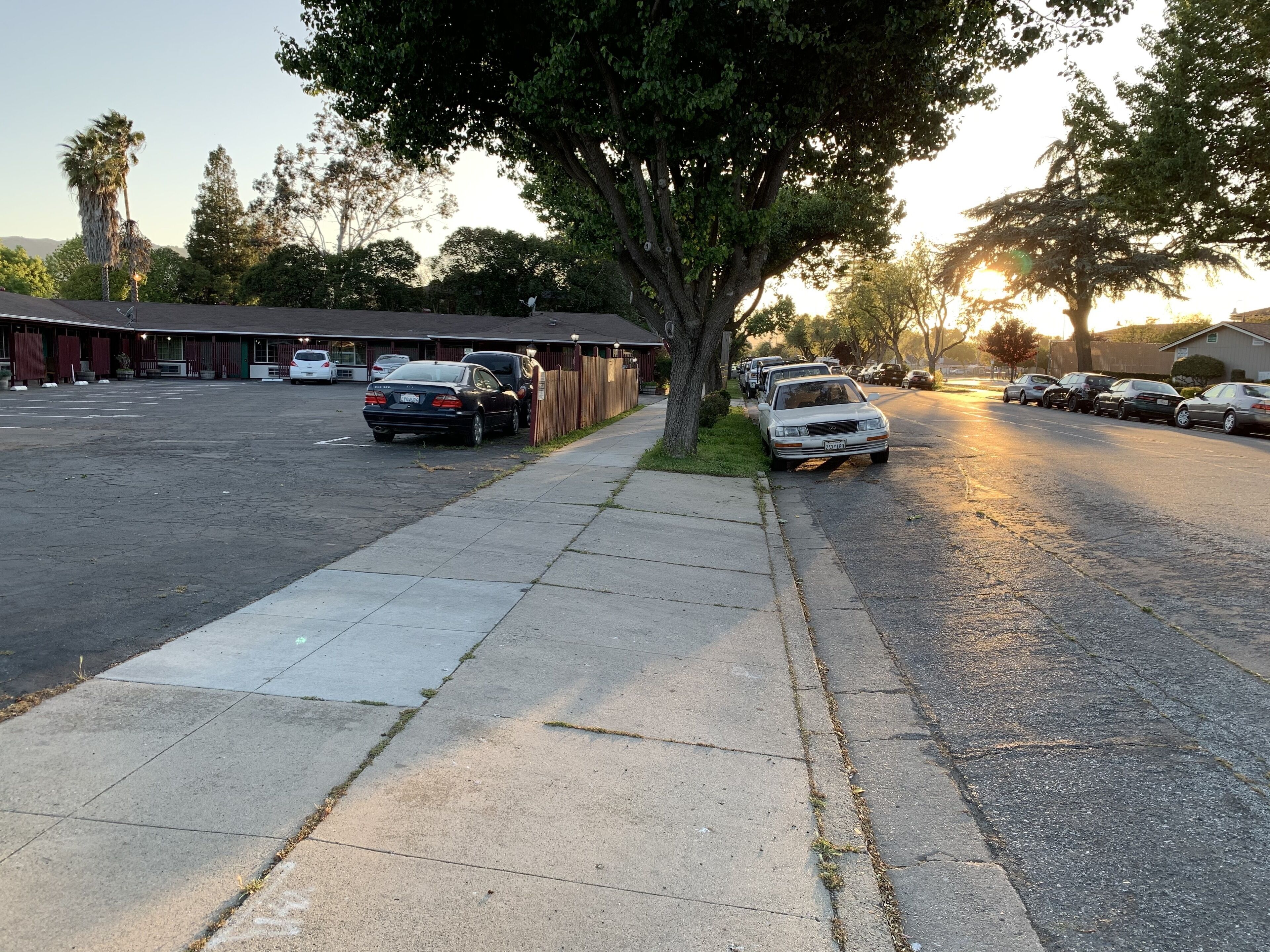 A parking lot with several cars parked, a building with a red roof, and trees lining the street.