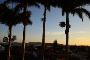 Un pueblo costero con palmeras y casas al atardecer.