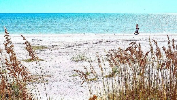 Beach - Fairway Getaway (Fort Myers Beach)