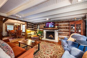 Televisión, chimenea, libros