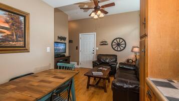 Flat-screen TV, fireplace, DVD player