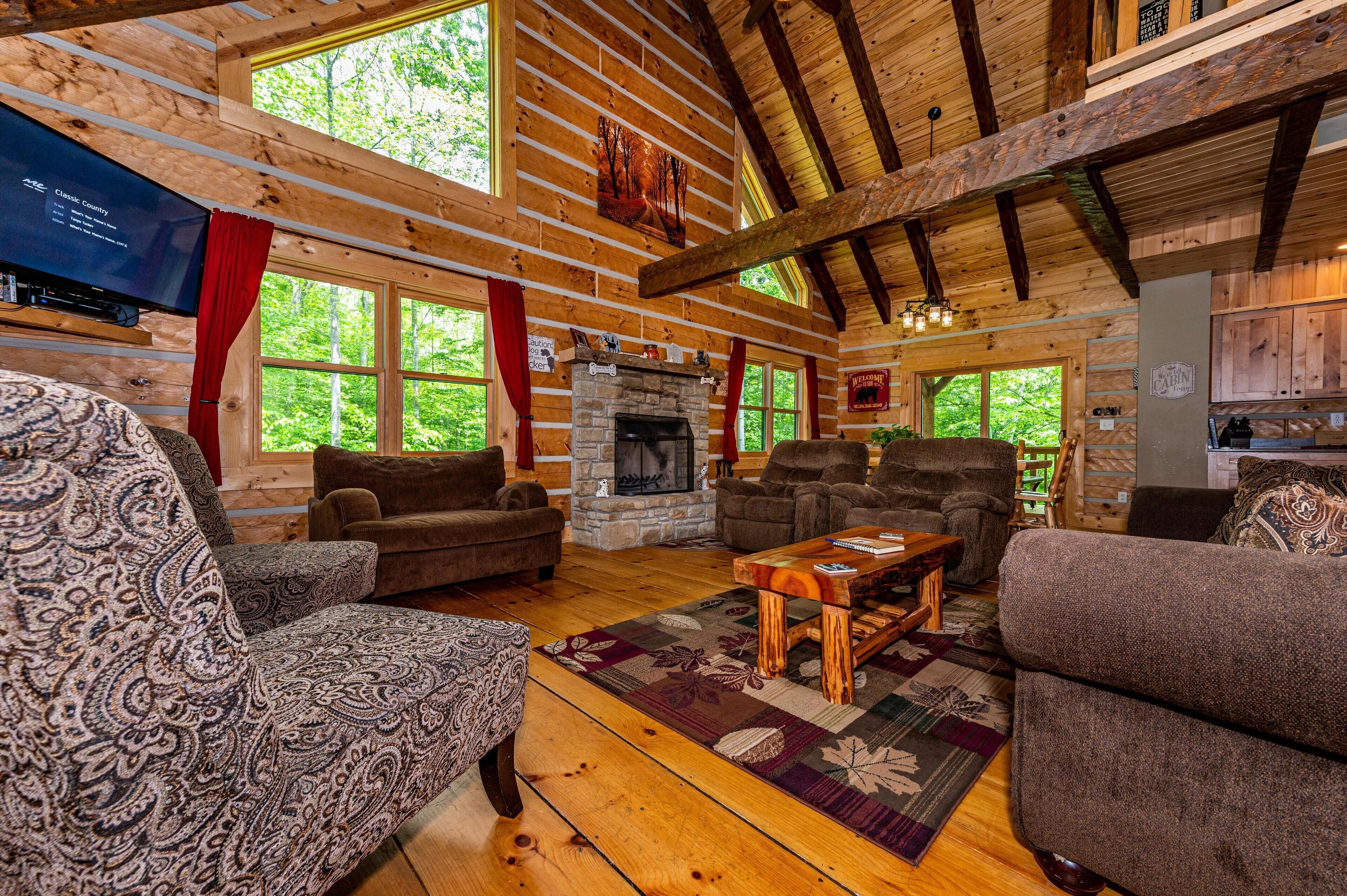 TV, fireplace, DVD player