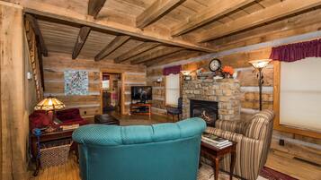 TV, fireplace, DVD player, books