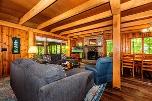 TV, fireplace, DVD player, books