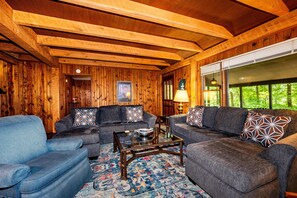 TV, fireplace, DVD player, books