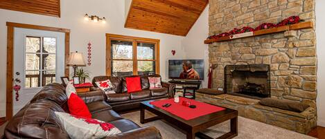 TV, caminetto, videogiochi, lettore DVD