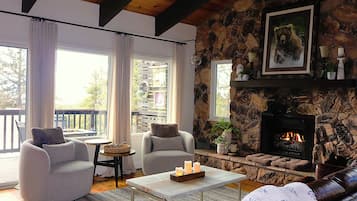 TV connectée, cheminée, livres, médiathÚque