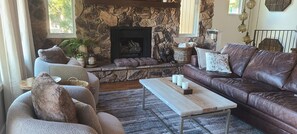 TV connectée, cheminée, livres, médiathèque