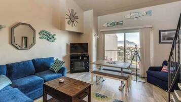 TV, fireplace, DVD player