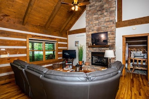 TV, fireplace, video games, DVD player