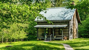 Une cabane en rondins surmontée d’un toit en métal, entourée d’une végétation luxuriante et dotée d’une cheminée en pierre.