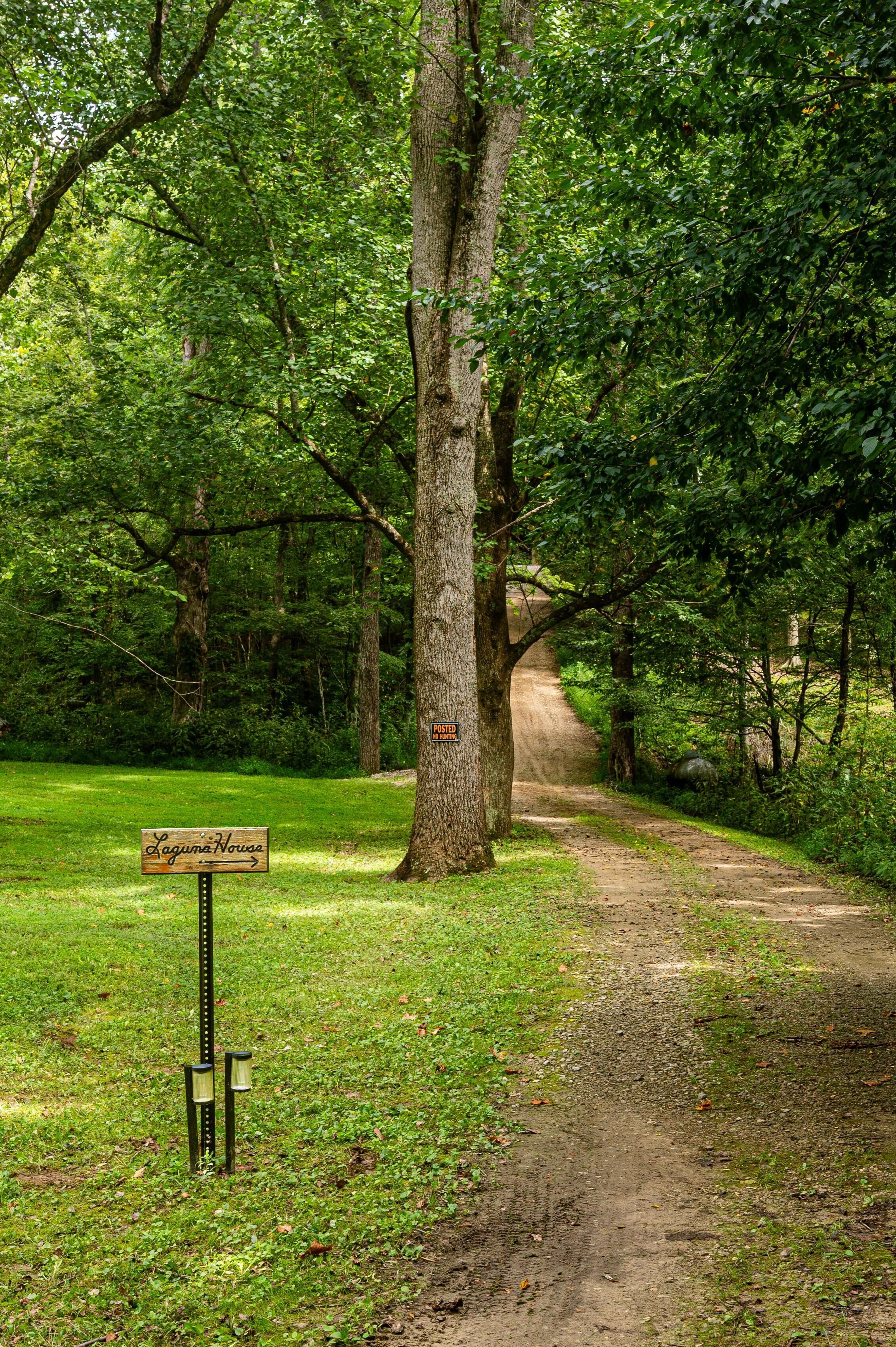 Un sentier de terre traverse une zone boisée, et un panneau indique « Laguna Woods » sur la gauche.