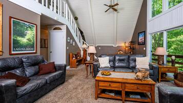 TV, fireplace, DVD player, books