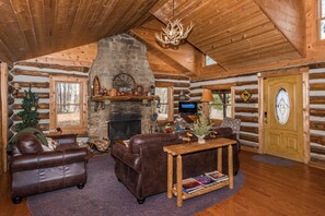 TV, fireplace, DVD player, books