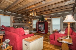 Televisión, chimenea, reproductor de DVD y libros 