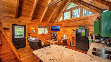 Télévision, cheminée, lecteur de DVD, livres