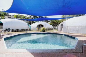 Pool - Unique Ocean  front Igloo at Trinity Beach sleeps 2 (Trinity Beach)