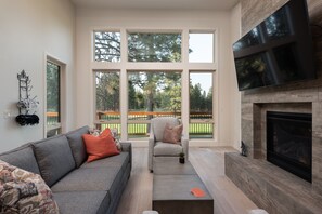 Smart TV, fireplace, books