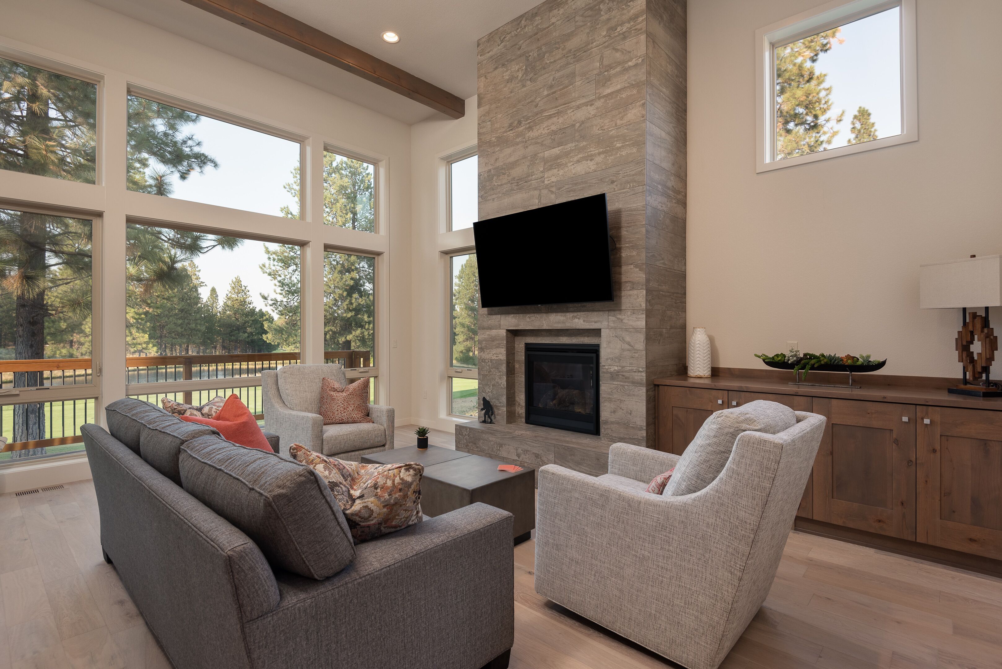 Televisor intel·ligent, llar de foc i llibres 