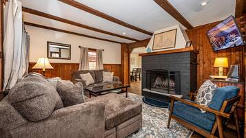 Télévision, cheminée, lecteur de DVD, livres