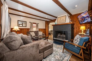 Télévision, cheminée, lecteur de DVD, livres