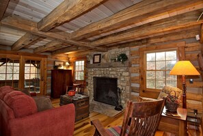 TV, fireplace, DVD player, books