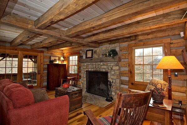 Télévision, cheminée, lecteur de DVD, livres