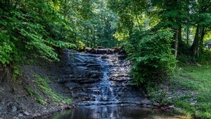Ein Wasserfall stürzt in einen ruhigen Fluss, umgeben von dichtem Grün.