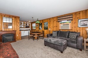 TV, fireplace, books