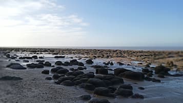 Cottage | Beach | Beach nearby