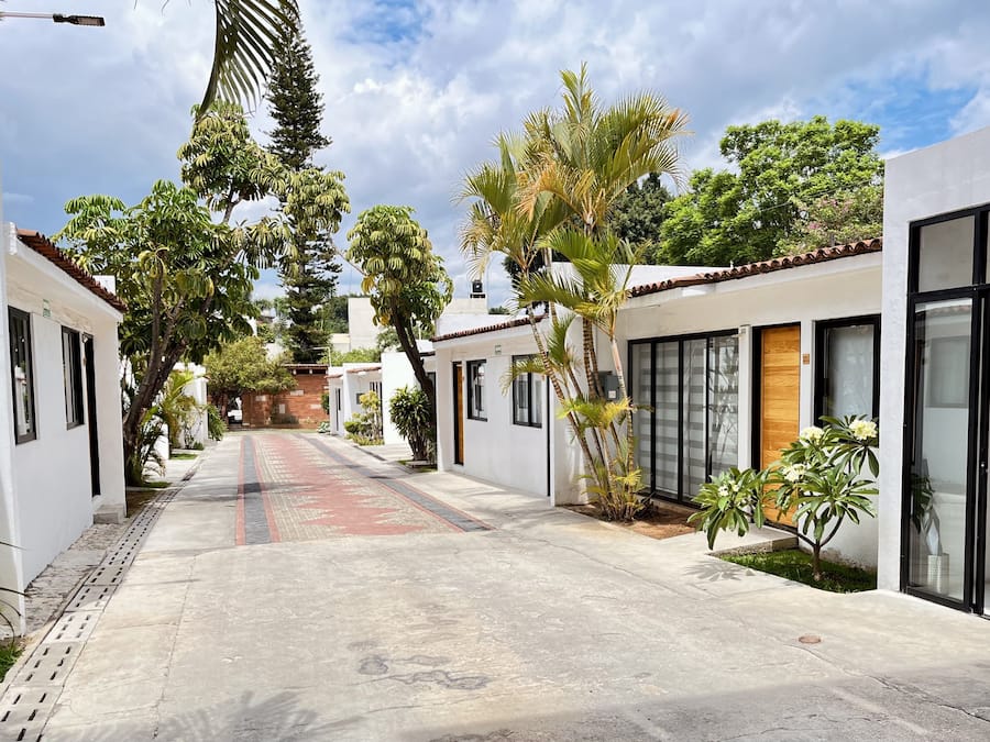 Un pasillo moderno de hotel con un camino central, rodeado de edificios blancos con ventanas grandes y palmeras.