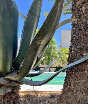 Exterior - Villa Santa Julia (Oaxaca)