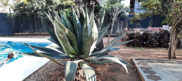 Outdoor pool - Villa Santa Julia (Oaxaca)