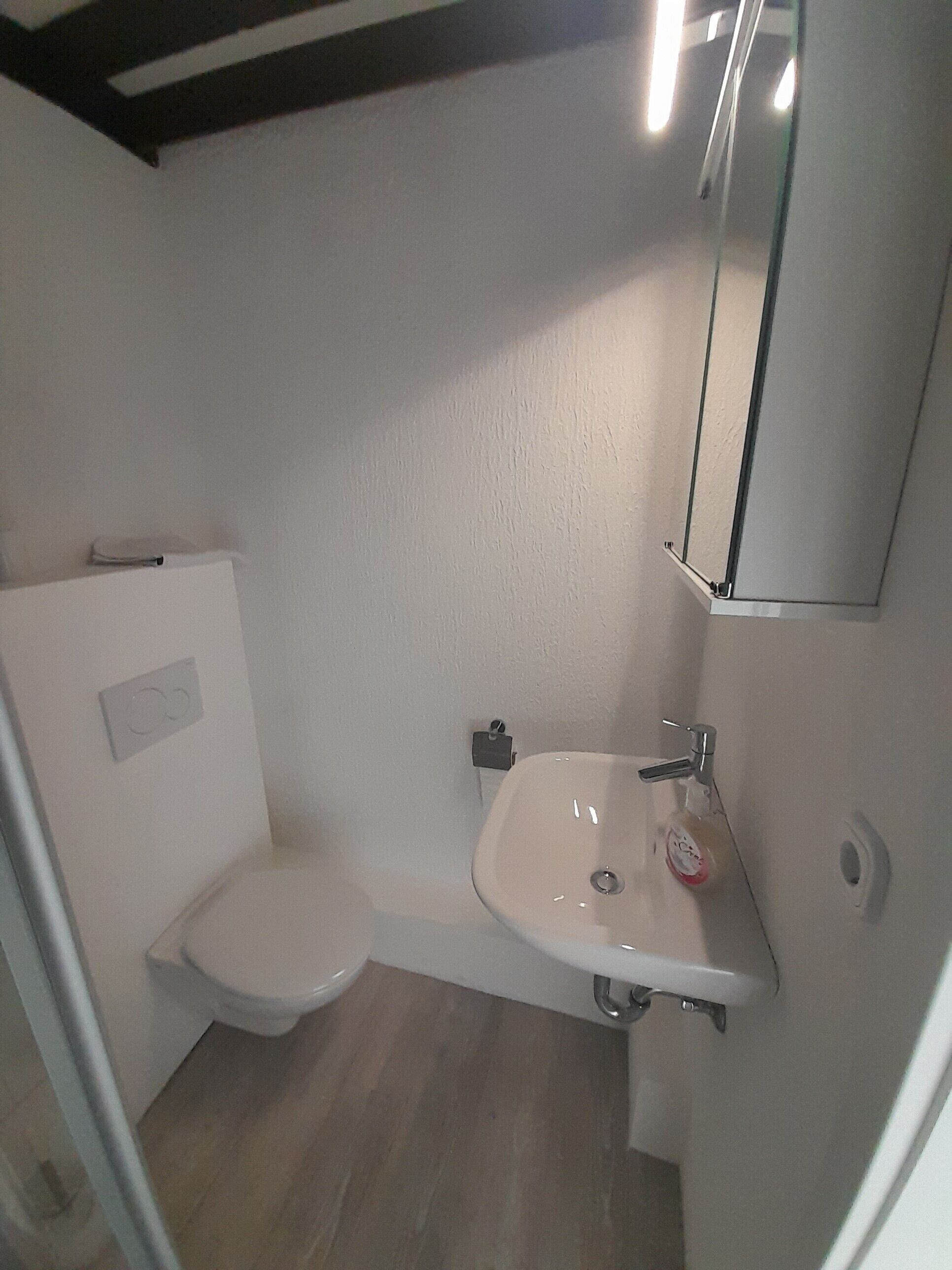 Ein kleines, kompaktes Badezimmer mit Toilette, Waschbecken und einem Spiegel darüber.