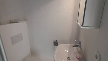 A small, compact bathroom with a white toilet, a sink, and a mirror above it.