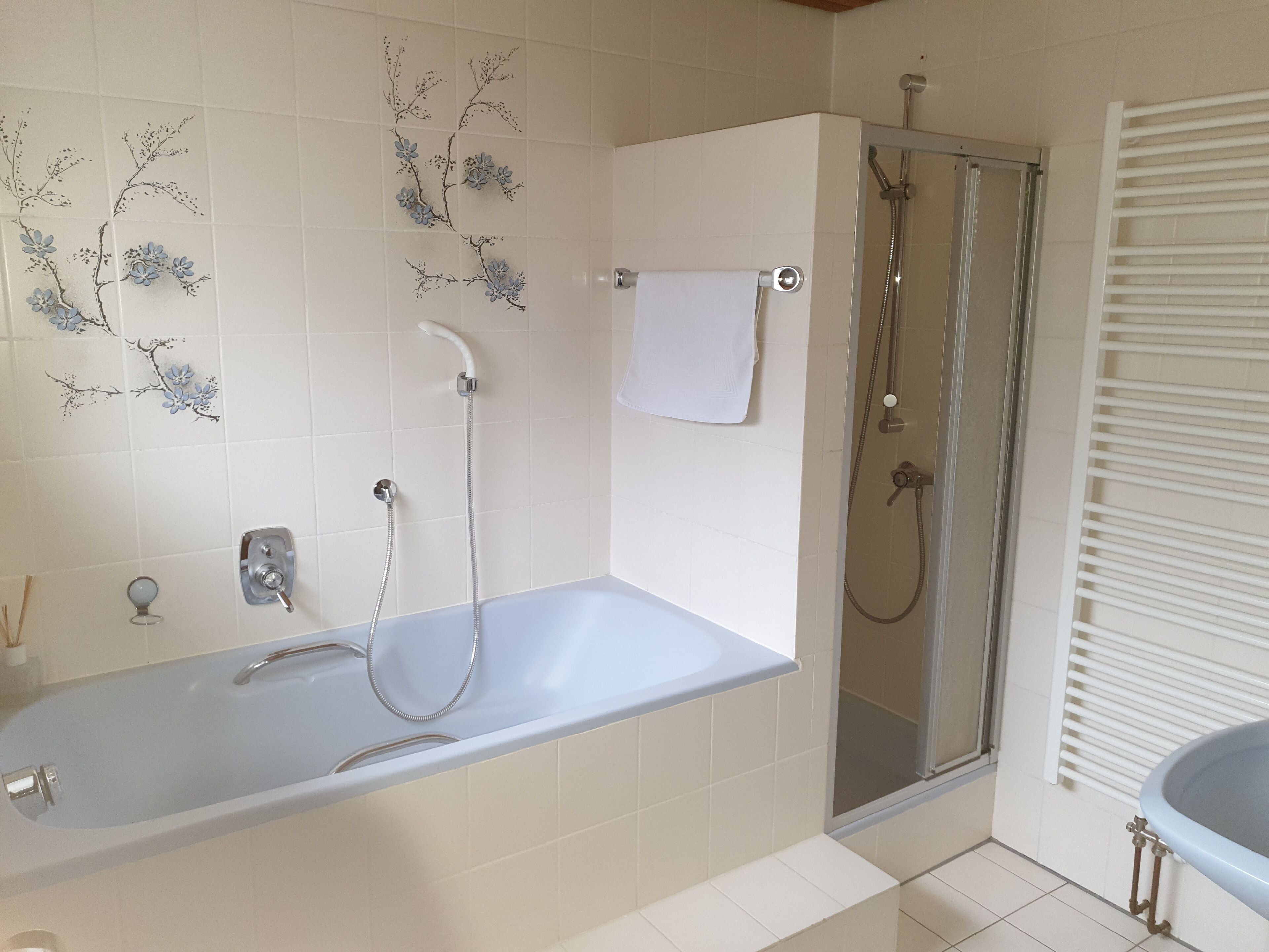 Une salle de bain avec une baignoire, une douche et un lavabo.