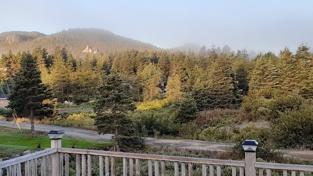A view of a forested area with a house in the background, a wooden deck in the foreground, and a clear sky. - Saltbox cottage (Clarke's Beach)