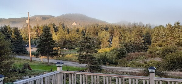 Property grounds - Saltbox cottage (Clarke's Beach)