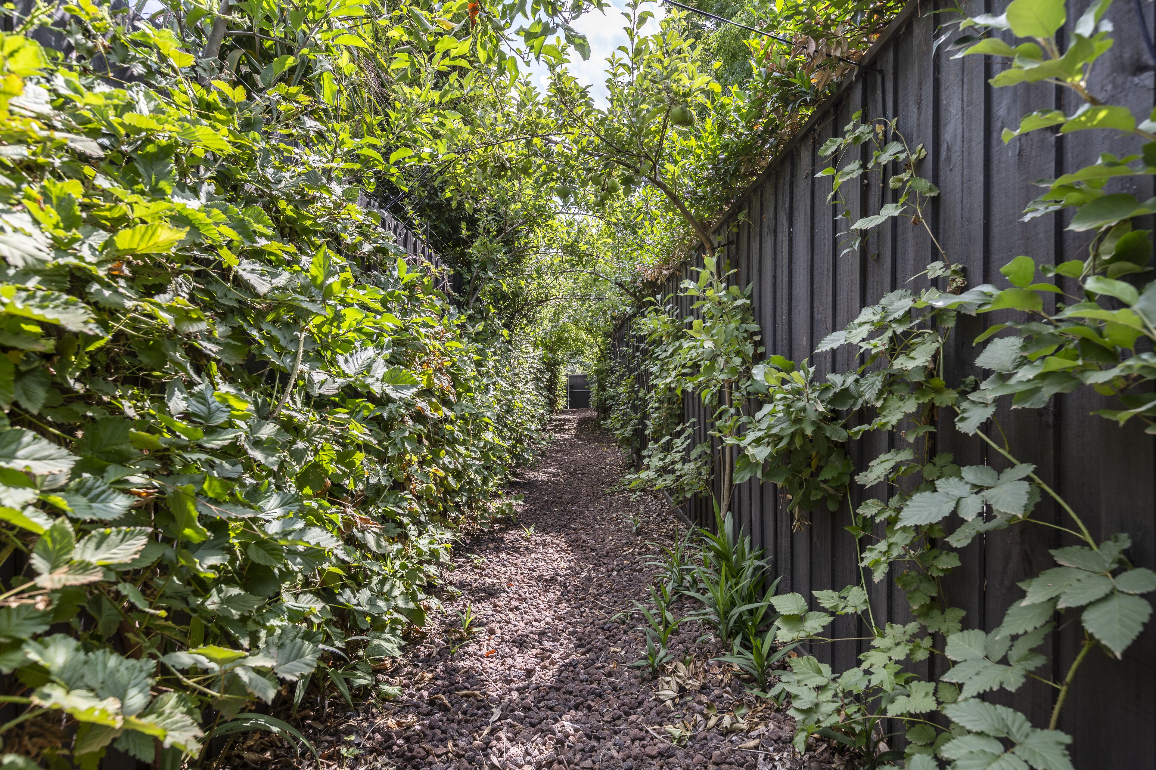 Architectural Luxury Home - Premier location in Hawthorn — image 22