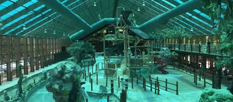 Daydream Hideaway Cabin - Mtn retreat in the swaying pines, firepit, playground 