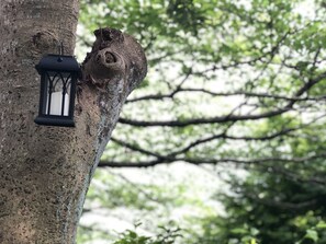A tree with a lantern hanging from its trunk. - Vacation House Odawara (Odawara)