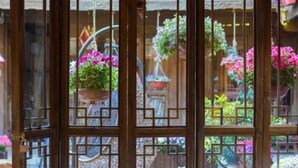 A room with a view of a garden through a wooden lattice door. - Flowers without Boundary Inn (Lijiang)