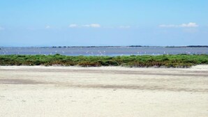A coastal landscape with a sandy beach and a marshy area with birds. - Hippocampe by Interhome (Le Grau du Roi)