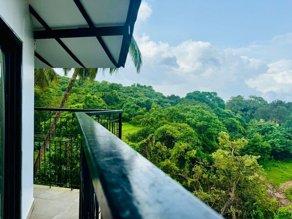 Vue depuis le balcon