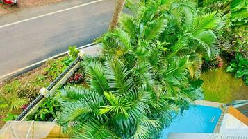 Family Suite, Pool View | View from room