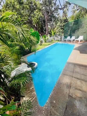 A rectangular swimming pool with a clear blue water surface, surrounded by a concrete deck and lush green tropical plants. - Half Hotel (Candolim)