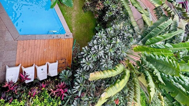 A swimming pool surrounded by lush tropical plants and a wooden deck with white chairs. - Half Hotel (Candolim)